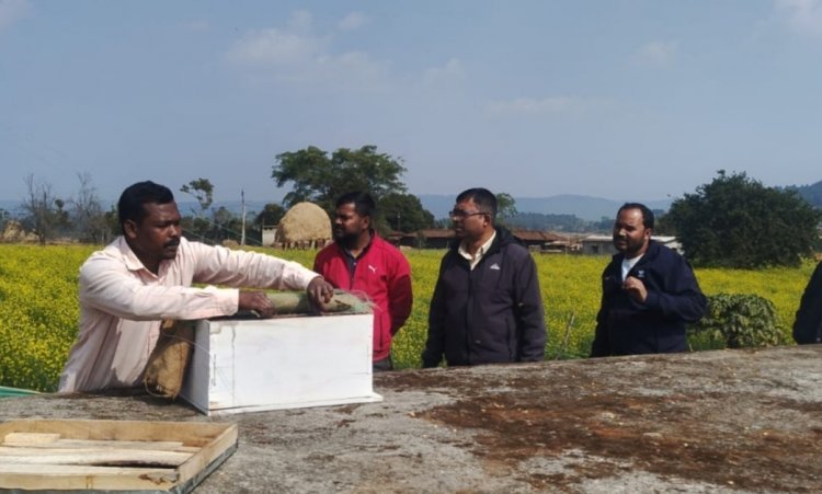 *राष्ट्रीय बागवानी मिशन एवं राज्य योजना अंतर्गत मधुमक्खी पालन में लाभान्वित हो रहे किसान*