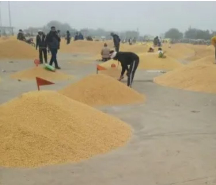 *धान खरीदी मे रिकॉर्ड प्रगति 48 घंटे मे भुगतान,प्रतिदिन 3 लाख   मीट्रिक टन की खरीदी,खरीफ विपणन वर्ष 2025 - 26 मे 23.48 लाख किसानों से धान खरीदी 29597 करोड़ का भुगतान*