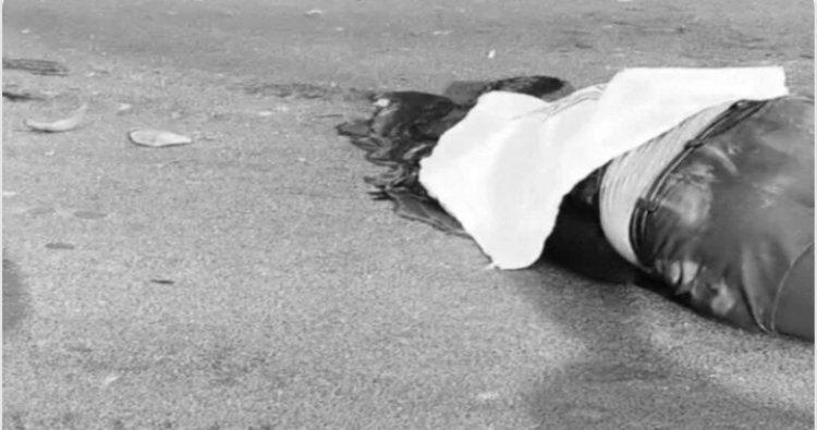 सीएम हाउस के पास दर्दनाक हादसा: सरकारी वाहन की टक्कर से स्कूल जा रहे भाई की मौत, बहन गंभीर घायल