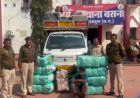 Crime : घरेलू सामान की आड़ में हो रही थी करोड़ों के गांजे की तस्करी, एमपी का तस्कर गिरफ्तार