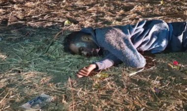 शिक्षक की मौत : अनियंत्रित होकर पेड़ से टकराई कार, घायल शिक्षक ने इलाज के दौरान तोड़ा दम……