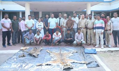 बाघ-तेंदुए के शिकार में शामिल डिप्टी रेंजर सहित 9 गिरफ्तार
