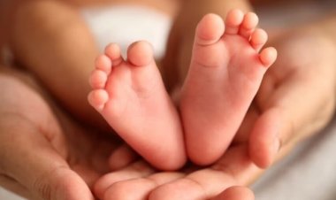 धड़ से जुड़े पैदा हुए जुड़वा बच्चे, नवजात का चेहरा देखते ही सदमे में मां ने तोड़ा दम, अस्पताल में मचा कोहराम