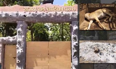 15 हिरणों की मौत के बाद प्रभारी समेत 4 कर्मचारी निलंबित