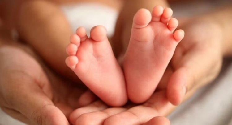 धड़ से जुड़े पैदा हुए जुड़वा बच्चे, नवजात का चेहरा देखते ही सदमे में मां ने तोड़ा दम, अस्पताल में मचा कोहराम