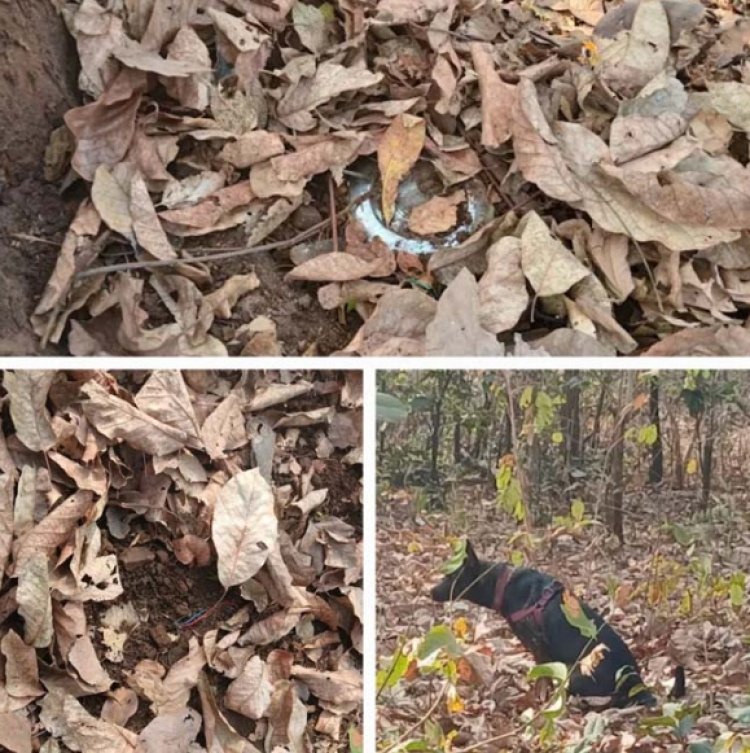 नक्सलियों द्वारा लगाए गए तीन आईईडी बरामद