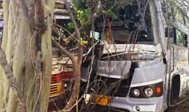 CG ACCIDENT BREAKING : NH-30 पर बस-ट्रक भिड़ंत में कई घायल