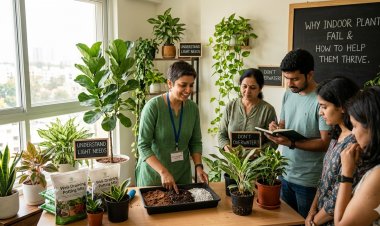 Indoor Plants Care Tips: घर के अंदर क्यों दम तोड़ रहे हैं आपके पौधे? 'स्लो पॉइजन' बन रही हैं ये छोटी गलतियां