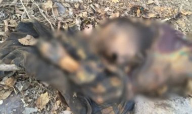 CG Crime: जंगल में मिली सड़ी गली लाश, मचा हड़कंप…