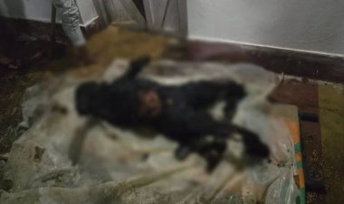 CG CRIME: दिल दहला देने वाली घटना… जमीन विवाद में भाई बना हैवान, बड़े भाई को जिंदा जलाया