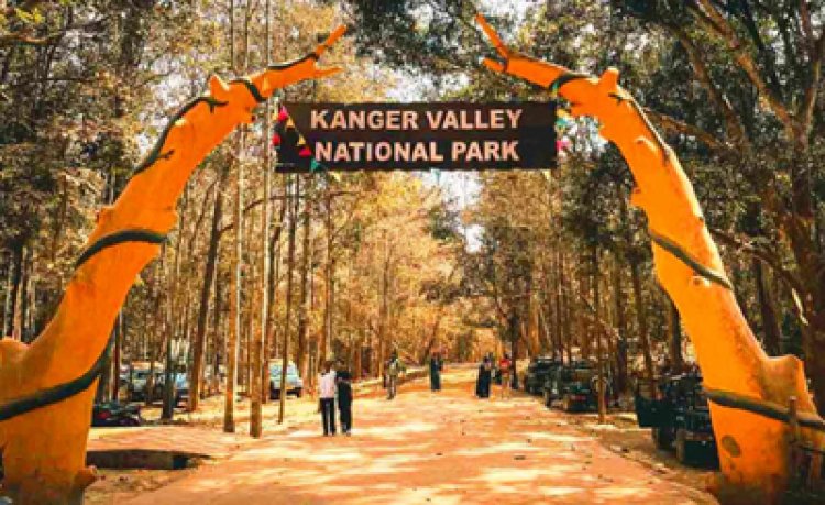 कांगेर घाटी की प्राकृतिक धरोहर की रक्षा के लिए 60 स्वयंसेवक होंगे तैनात