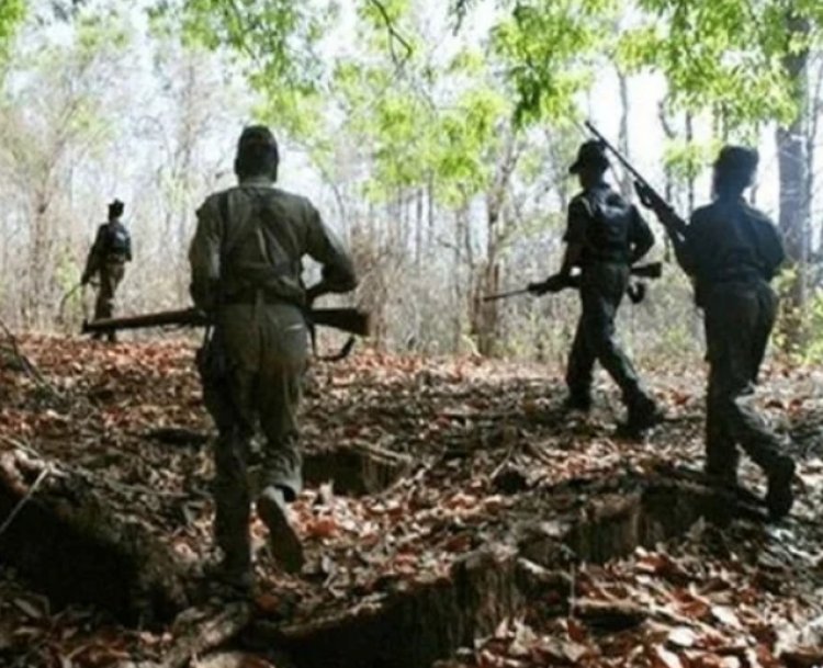 NAXALI NEWS:  जवान और नक्सलियों के बीच मुठभेड़, 1 करोड़ के इनामी की तलाश जारी