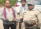 जंगली भालू ने तेंदूपत्ता तोड़ रहे ग्रामीण पर किया हमला, गंभीर रूप से घायल