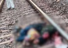CG LOVER COUPLE SUICIDE : प्रेमी जोड़े का खौफनाक अंत…