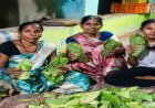 हरा सोना बना समृद्धि का आधार : तेंदूपत्ता खरीदी की बढ़ी दर ने संग्राहकों का बढ़ाया उत्साह व भरोसा, हर फड़ पर रौनक