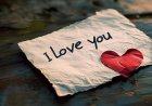 CG – पत्नी को I LOVE YOU