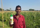 नैनो यूरिया के इस्तेमाल से किसान परशुराम राजवाड़े को खेती में मिला फायदा