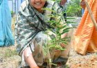 विश्व पर्यावरण दिवस पर मंत्री लक्ष्मी राजवाड़े ने किया पौधरोपण