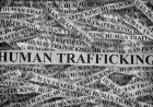 Human Trafficking Case: बस की चेकिंग और खुल गया तस्करी का पूरा खेल! 16 युवतियों समेत 20 लोग रेस्क्यू