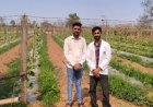 कम लागत में 5 एकड़ खेत में आधुनिक विधि से अच्छी आय
