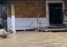 यूपी-बिहार और छत्तीसगढ़ में पेड़-बिजली गिरने से 13 की मौत: MP-गुजरात में अटका मानसून, दिल्ली-हरियाणा में 43°C पार पारा