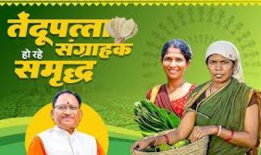 तेन्दूपत्ता संग्राहकों को मिली बड़ी राहत, पहले चरण में 12 हजार से अधिक हितग्राहियों के खातों में पहुंचे 12 करोड़