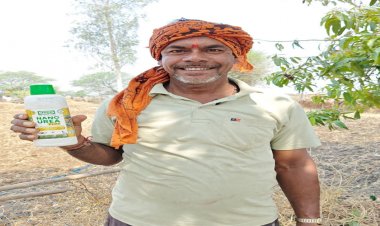 नैनो उर्वरक से बदली किसान रेशम की किस्मत, कम लागत में कमा रहे अच्छा मुनाफा