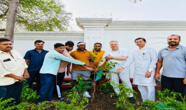 भाजपा प्रदेश कार्यालय  में विश्व पर्यावरण दिवस पर हुआ पौधरोपण