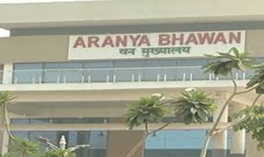 छत्तीसगढ़ वन विभाग में 4 आईएफएस अधिकारियों को मिली नई जिम्मेदारी