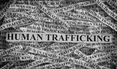 Human Trafficking Case: बस की चेकिंग और खुल गया तस्करी का पूरा खेल! 16 युवतियों समेत 20 लोग रेस्क्यू