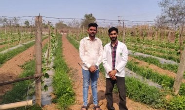 कम लागत में 5 एकड़ खेत में आधुनिक विधि से अच्छी आय