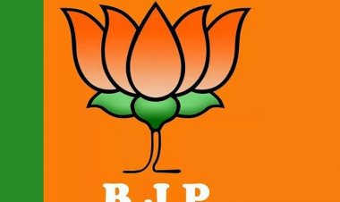 राजनीति : भाजपा संगठन और सरकार दोनों मोर्चों पर सक्रिय, आगामी रणनीति पर तेज हुई तैयारी