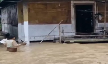 यूपी-बिहार और छत्तीसगढ़ में पेड़-बिजली गिरने से 13 की मौत: MP-गुजरात में अटका मानसून, दिल्ली-हरियाणा में 43°C पार पारा