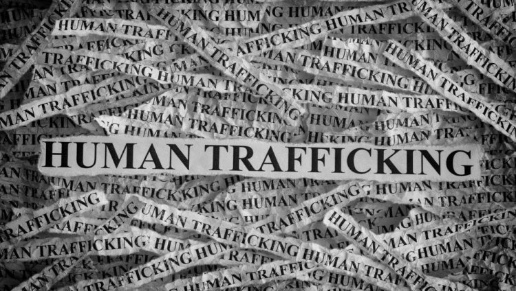 Human Trafficking Case: बस की चेकिंग और खुल गया तस्करी का पूरा खेल! 16 युवतियों समेत 20 लोग रेस्क्यू