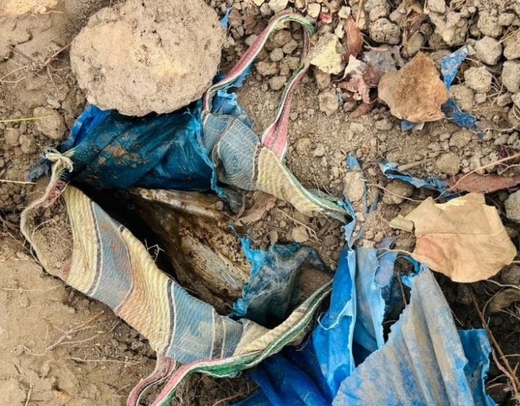 NAXALI NEWS: जवानों ने नाकाम की नक्सलियों की बड़ी साजिश, 5 किलो का प्रेशर कुकर IED बरामद कर किया नष्ट