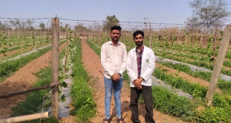 कम लागत में 5 एकड़ खेत में आधुनिक विधि से अच्छी आय