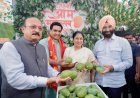 मुख्यमंत्री ने 35वें आम महोत्सव का शुभारंभ कर किसानों का बढ़ाया उत्साह