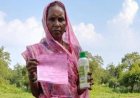वैज्ञानिक खेती अपनाकर महिला कृषक ने घटाई लागत, बढ़ाई उम्मीदें: आधुनिक कृषि तकनीक से बनीं अन्य किसानों के लिए प्रेरणा