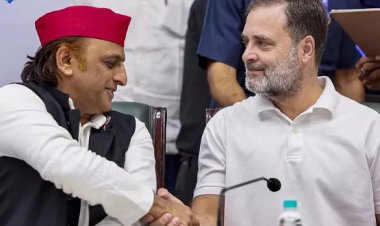 राहुल गांधी ने अखिलेश को दी बधाई, PDA पर दिया समर्थन