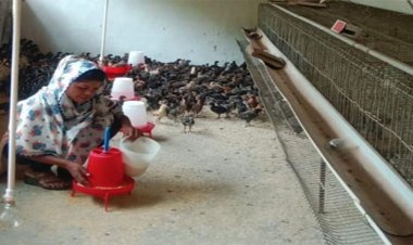 सफलता की नई उड़ान : पारंपरिक मजबूरी से लखपति दीदी बनने तक का सफर