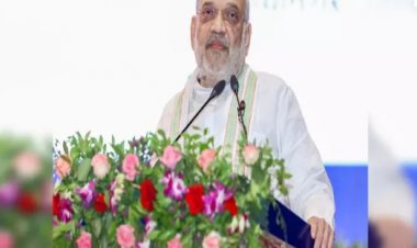केंद्रीय गृह मंत्री अमित शाह दिल्ली में 70 लाख पौधरोपण अभियान का करेंगे शुभारंभ