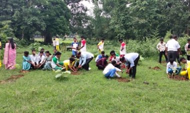 वन महोत्सव : जशपुर में 'एक पेड़ माँ के नाम' अभियान को मिल रहा जनसमर्थन