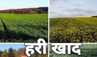 जशपुर में खेती को मिलेगी नई ताकत, किसानों को जैविक खाद – हरी खाद अपनाने की सलाह