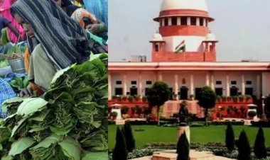 CHHATTISGARH : तेंदूपत्ता खरीदी विवाद सुप्रीम कोर्ट पहुंचा, सरकार से 4 हफ्ते में जवाब तलब