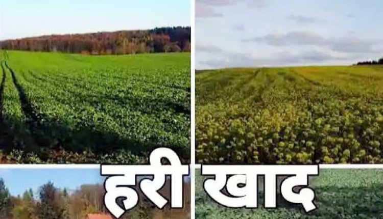 जशपुर में खेती को मिलेगी नई ताकत, किसानों को जैविक खाद – हरी खाद अपनाने की सलाह
