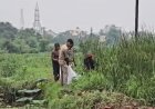डब्ल्यूआरएस कॉलोनी में मिला अज्ञात युवती का शव, हत्या की आशंका