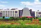 ब्रेकिंग : IFS प्रोबेशनर्स की पहली पोस्टिंग,2024 बैच के इन अधिकारियों को मिली जिम्मेदारी, देखें लिस्ट…