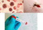 Malaria Cases: मलेरिया का कहर! 37 वर्षीय महिला ने इलाज के दौरान तोड़ा दम
