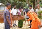 “बगिया में बिखरी हरेली की हरियाली, कौशल्या साय ने की पूजा-अर्चना,प्रदेश की सुख-समृद्धि और किसानों की खुशहाली की मांगी दुआ”