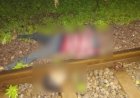 CG NEWS : रेलवे ट्रैक पर मिला युवक का सिर कटा शव, पुलिस जता रही यह आशंका